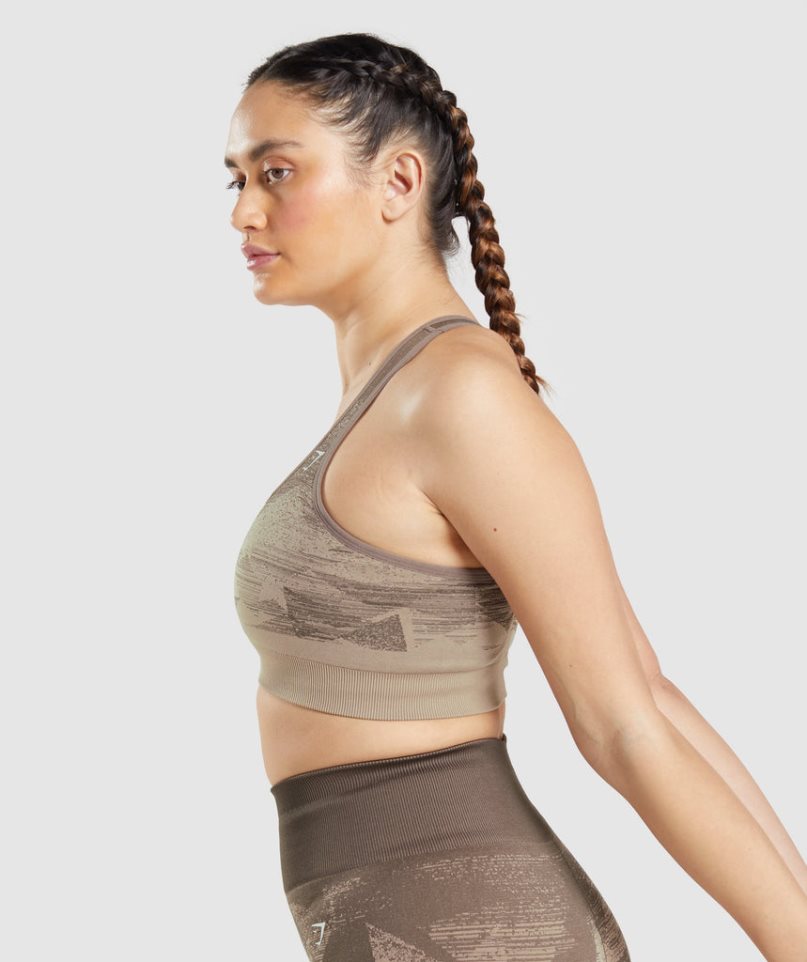 Staniki Sportowe Gymshark Adapt Ombre Seamless Damskie Brązowe | PL 987NRK